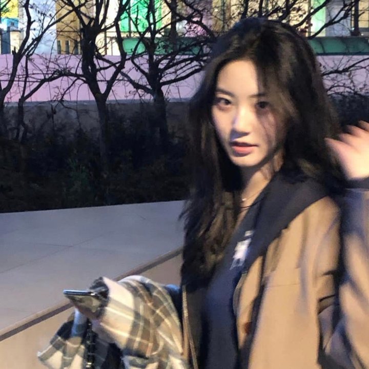 派特森与芬达猫4
